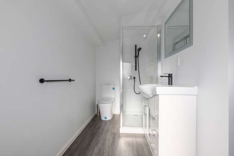 29b Sussex Street Levin_18
