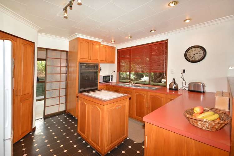35 Aytoun Street Waverley_3