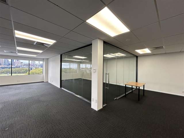 9A Hargreaves Street Freemans Bay_3