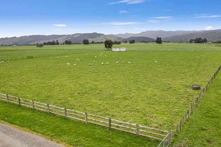 291a Kimberley Road Levin_5