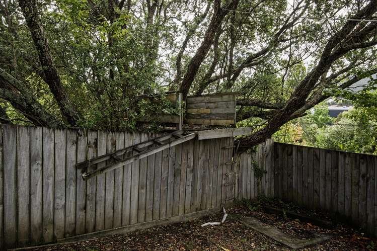 272 Western Hills Drive Avenues_19