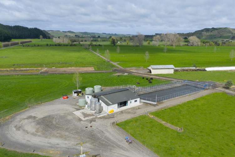 354 Kumuiti Road Fordell_1