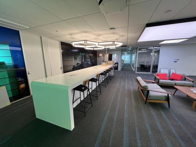 123 Carlton Gore Road Newmarket_4