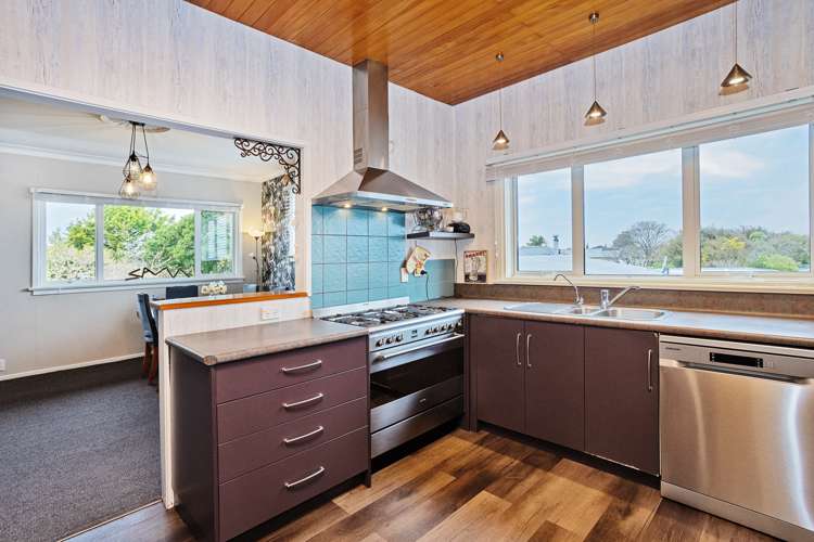 361 Herbert Street Windsor_5