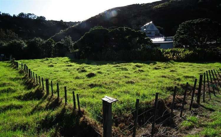 1161 Omamari Road Dargaville Surrounds_4