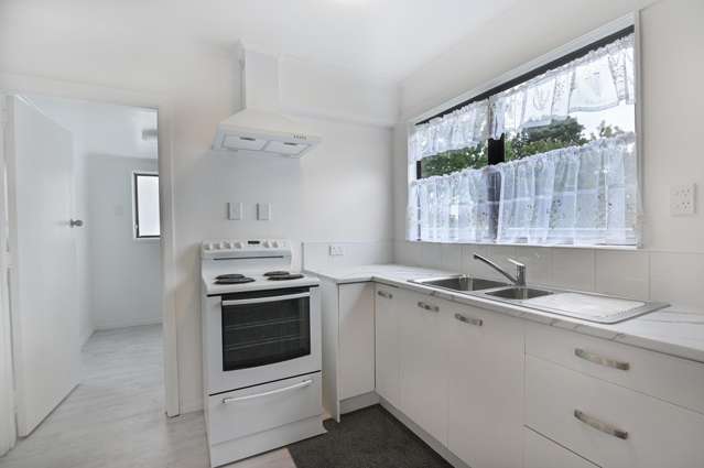 42 Geddis Avenue Maraenui_3
