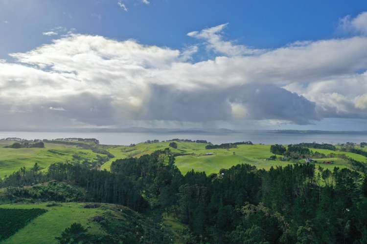 2442 South Head Road South Head_7