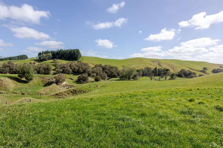 205 Ngawaka Road Flemington_20