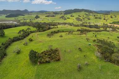 Lot 1/471 Purangi Road_2