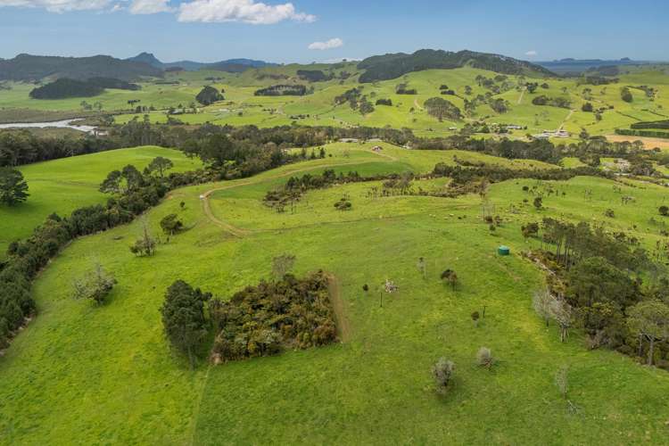 Lot 1/471 Purangi Road Cooks Beach_2