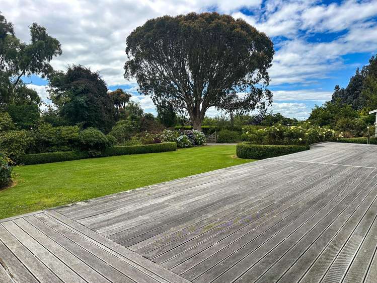 318 Waipango Ermedale Road Gummies Bush_16