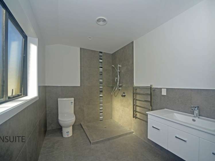 11a Montgomery Street Levin_3