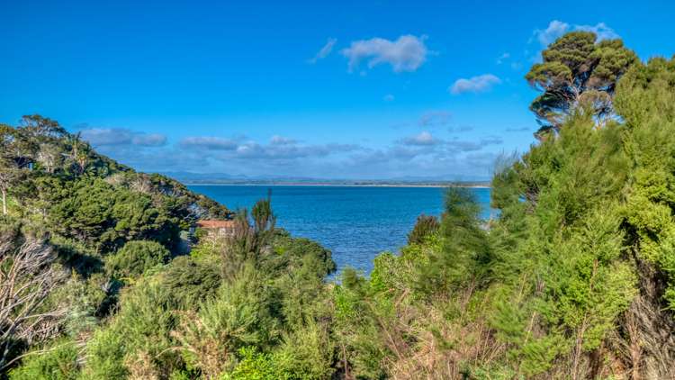 49 Banyan Road Karikari Peninsula_30