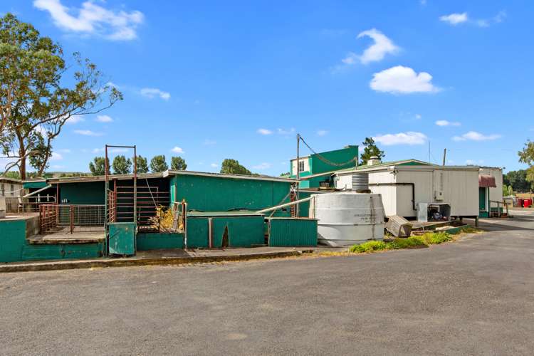 7 Harbottle Road Morrinsville_11