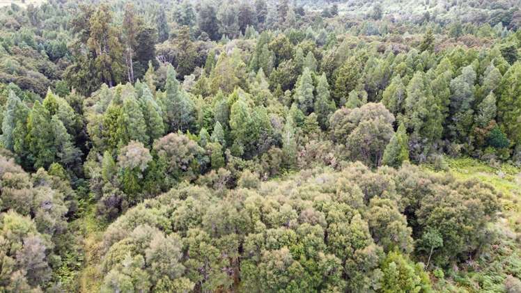 61d Beechwater Drive Moana / Lake Brunner_7