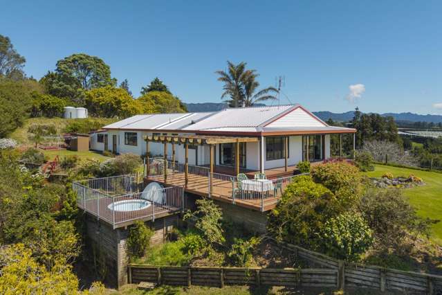 375A Esdaile Road Whakamarama_2