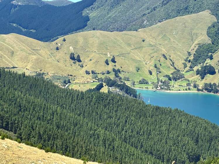 Cissy Bay Road, Cissy Bay French Pass_23