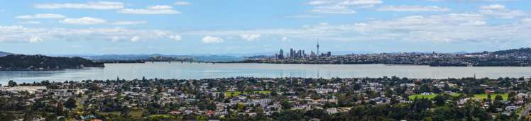 207 Royal Road Massey_12