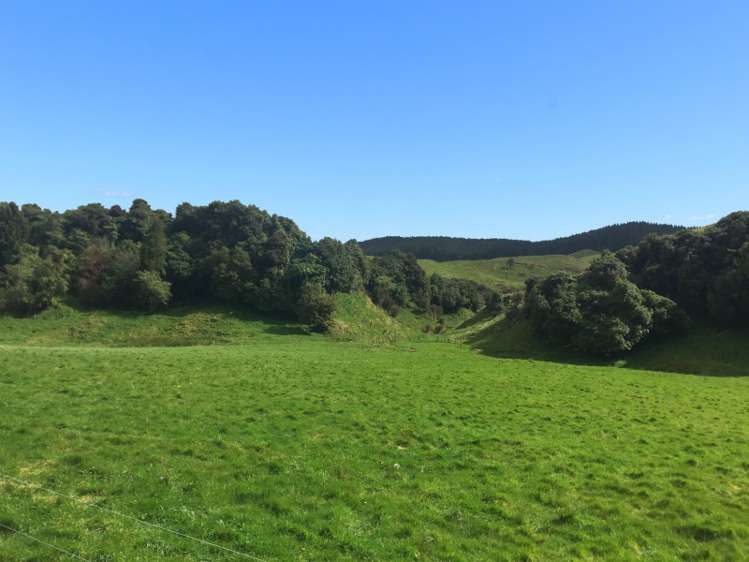 414 Putara Road Eketahuna_5