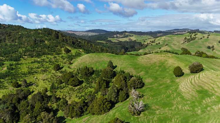 30C Te Ranga Road Kaeo_27