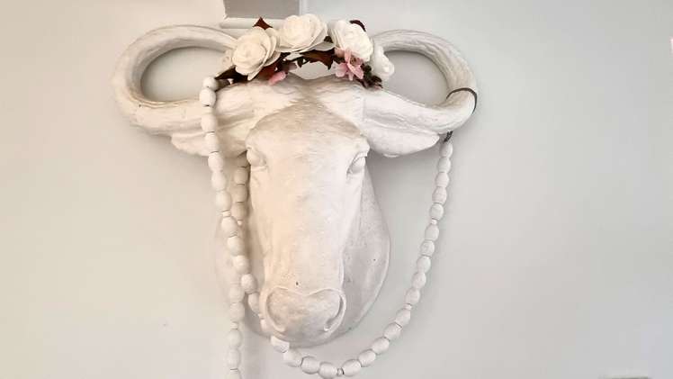 1/10 Selwyn Crescent Forrest Hill_18