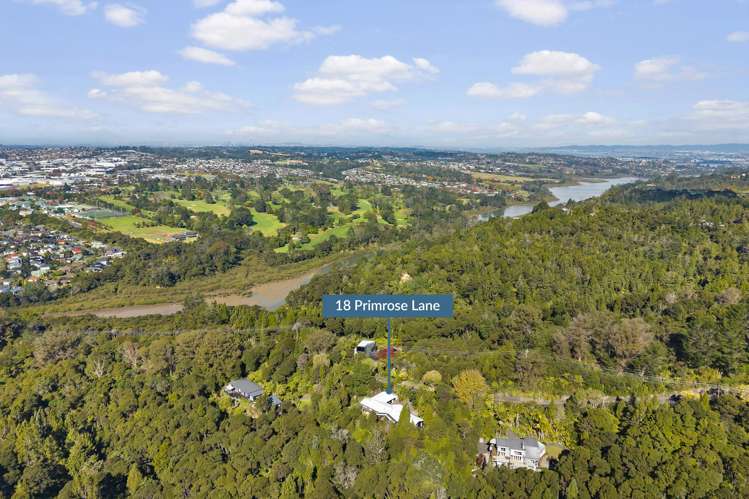 18 Primrose Lane Albany_18