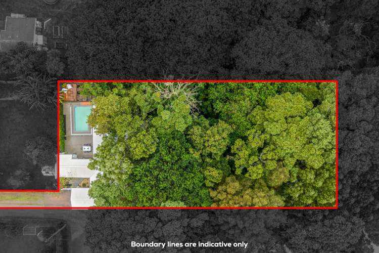 216 Onewa Road Birkenhead_18