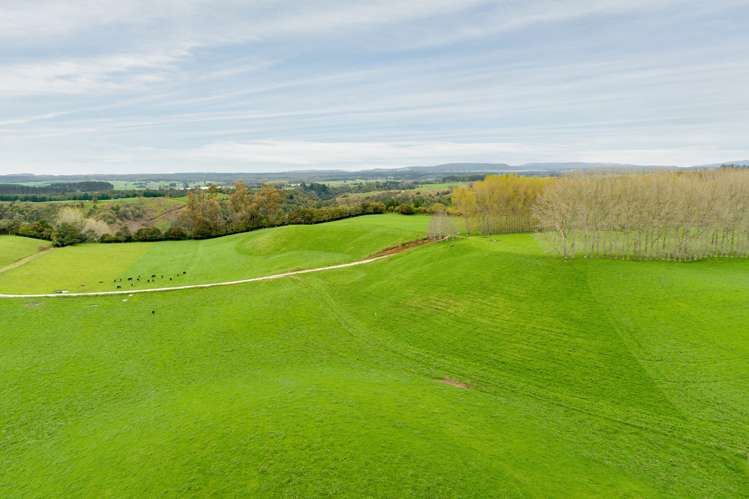 936 Pongakawa Bush Road Pongakawa_16