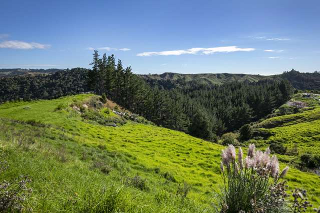 Lot 3, 163 Ahuroa Road Puhoi_4