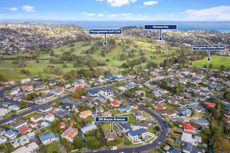 38 Boyce Avenue Mount Roskill_14