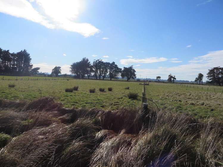 7 Marama Avenue South Otatara_1