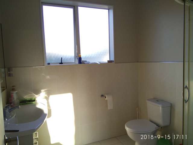 16 Plantation Avenue Flat Bush_2