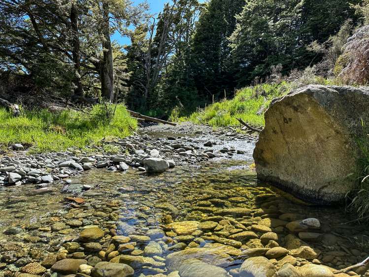 1338 Kakapo Road Te Anau Surrounds_16