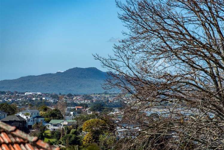 123 Hinemoa Street Birkenhead_9