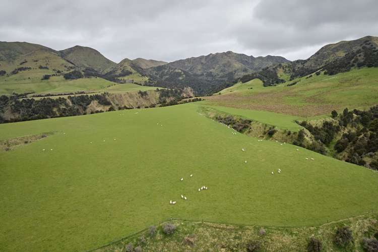 3717 Inland Kaikoura Road Mt Lyford_30