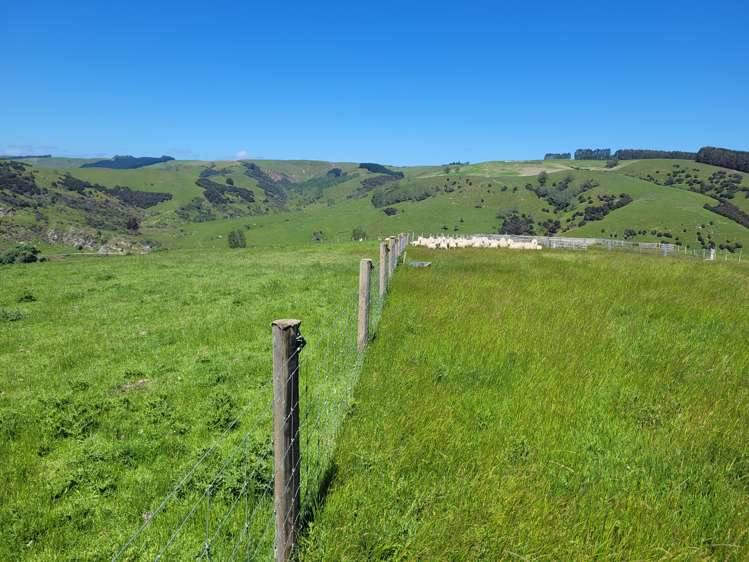 575 Tuapeka Flat Road Lawrence_25