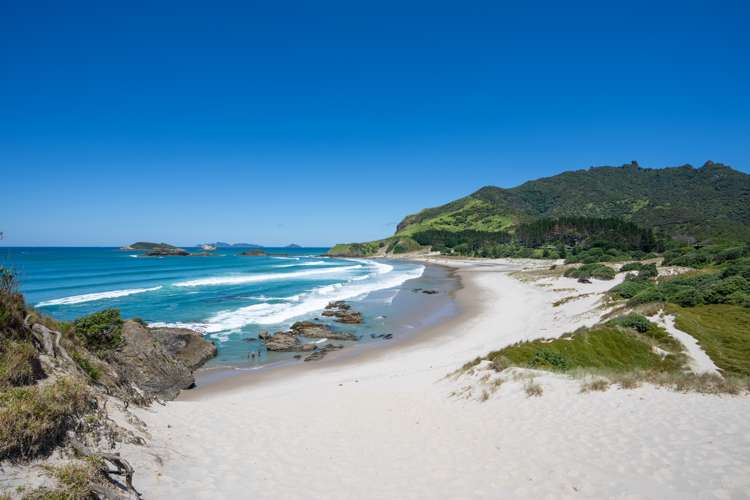 364 Ocean Beach Road Whangarei Heads_33