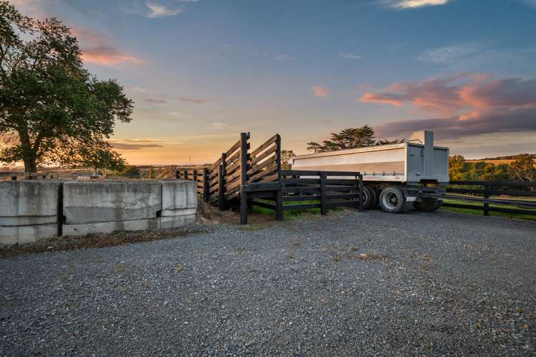 245 Ashhurst Road Bunnythorpe_30