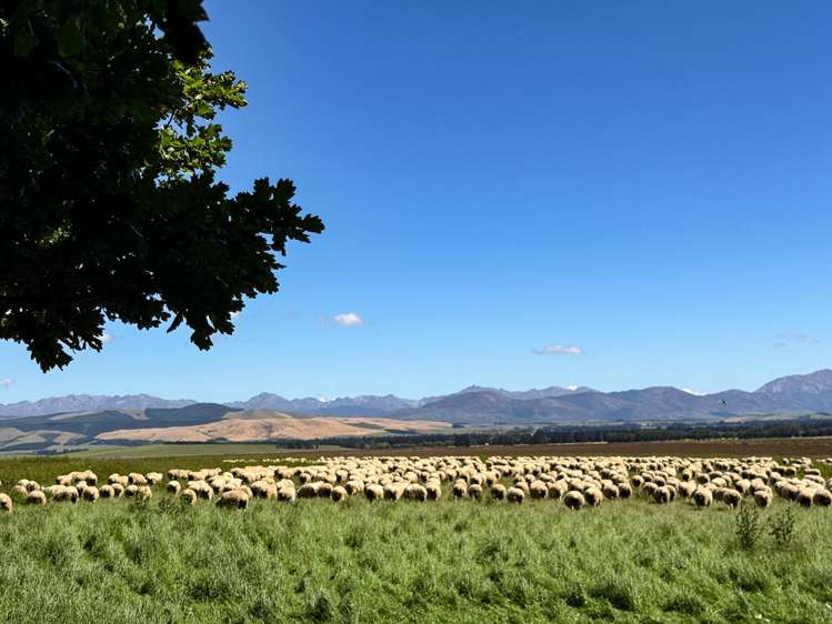 109 Affleck Road Castle Downs_5