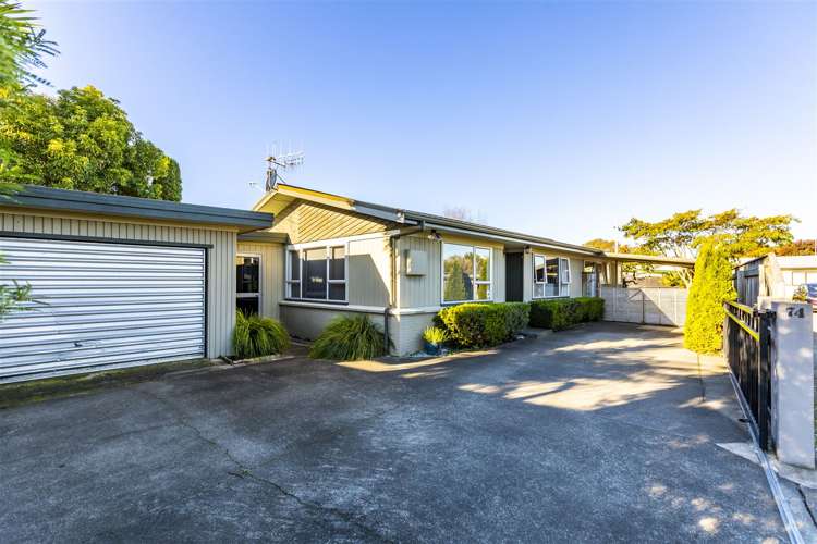 74a Guppy Road Greenmeadows_20