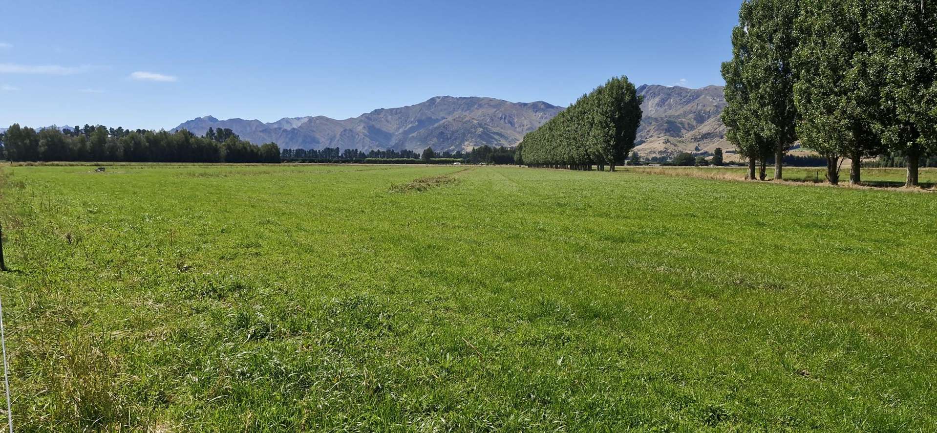 481 Camp Hill Road Hawea Flat_0