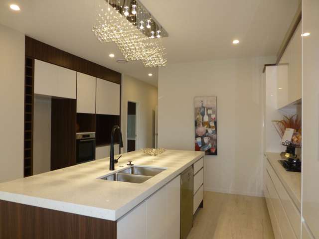 121 Thomas Road Flat Bush_2