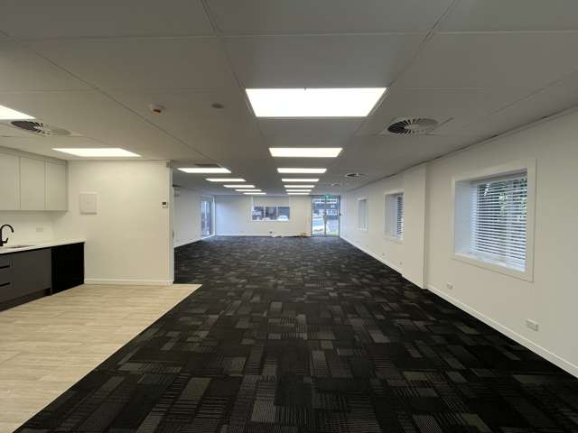 25 Minnie Street Eden Terrace_4