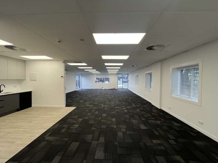 25 Minnie Street Eden Terrace_4