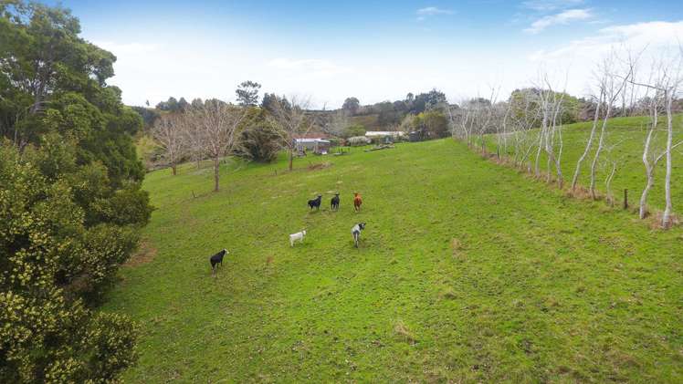 471 Horseshoe Bush Road Dairy Flat_18