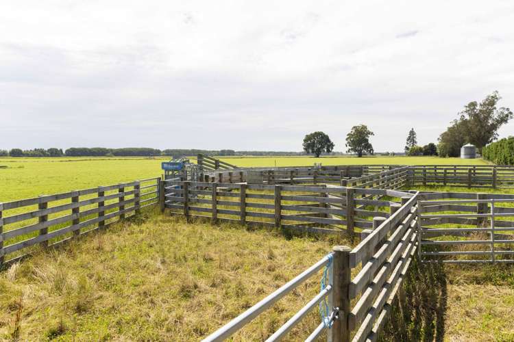 308 Arowhenua Road Timaru_4