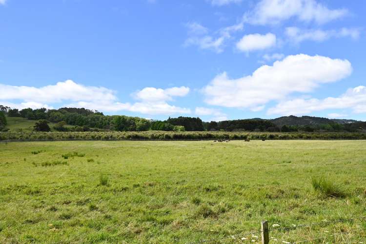 867 Kahikatea Flat Road Waitoki_12