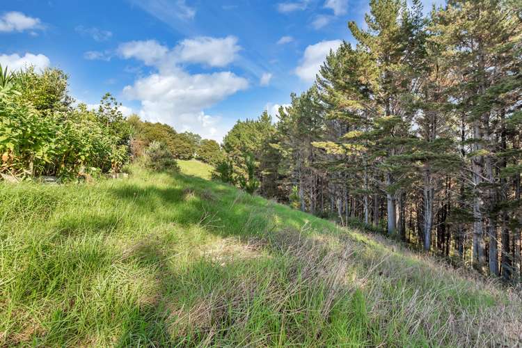 Campbell Road Parua Bay_8