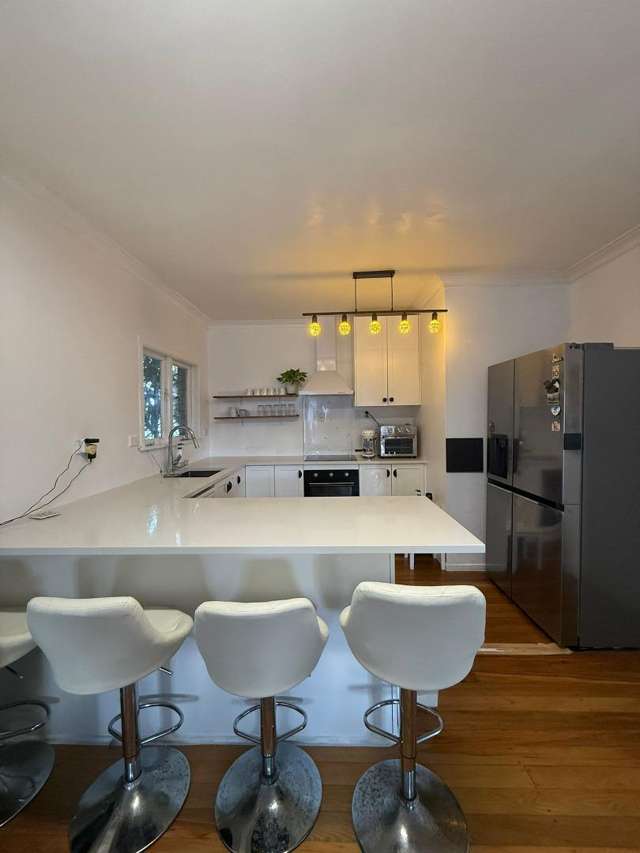 12 Willis Road Papakura_4