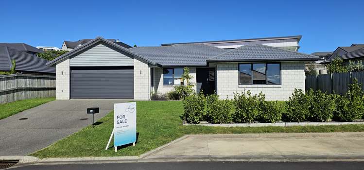 78 Bert Wall Drive_0